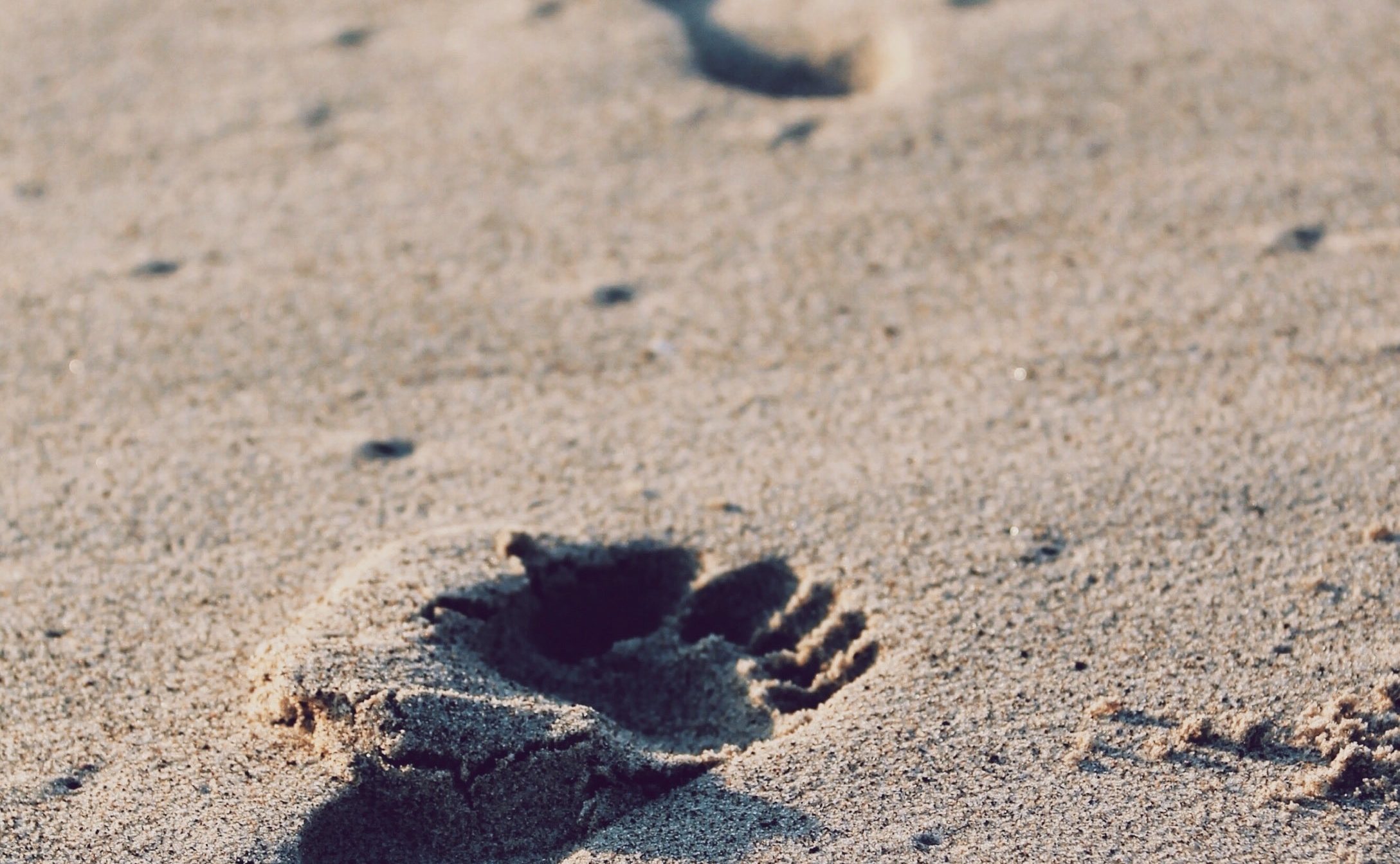 footprints on the beach